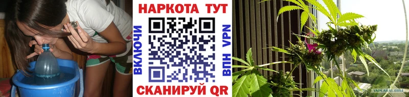 Как найти закладки Зеленоградск ГАШИШ  МАРИХУАНА  МДМА  МЕФ  Alpha PVP  Амфетамин 