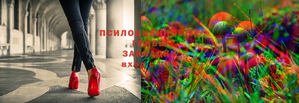 стаф Алексеевка
